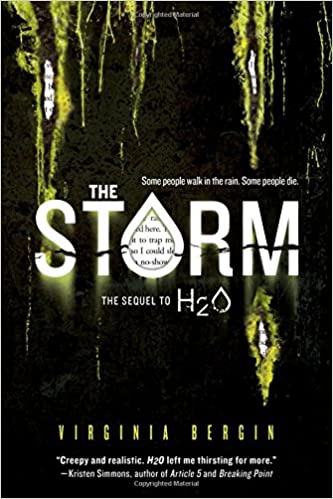 Storm, The (paperback) by Virginia Bergin